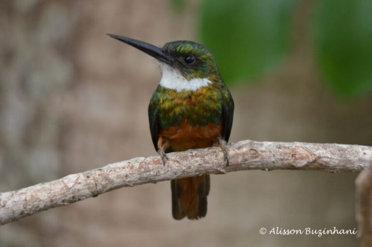 ecoadventures-atrativo-116-DSC_9814 (1024x681)_GD-