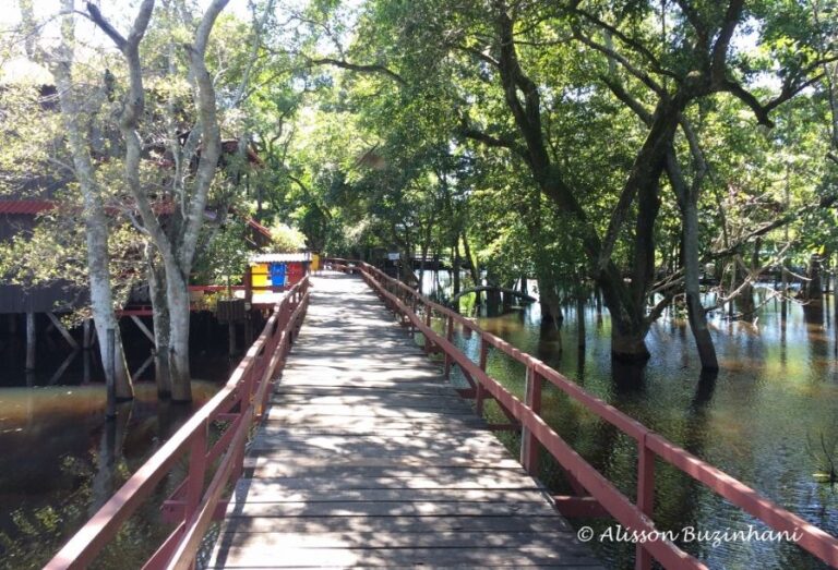 ecoadventures-atrativo-116-IMG_3429 (1024x697)_GD-