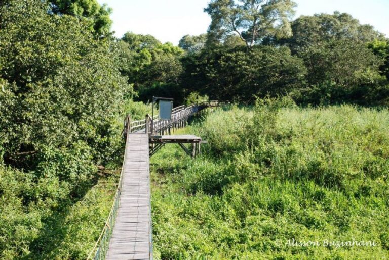 ecoadventures-atrativo-116-Parque Hotel 011_GD-