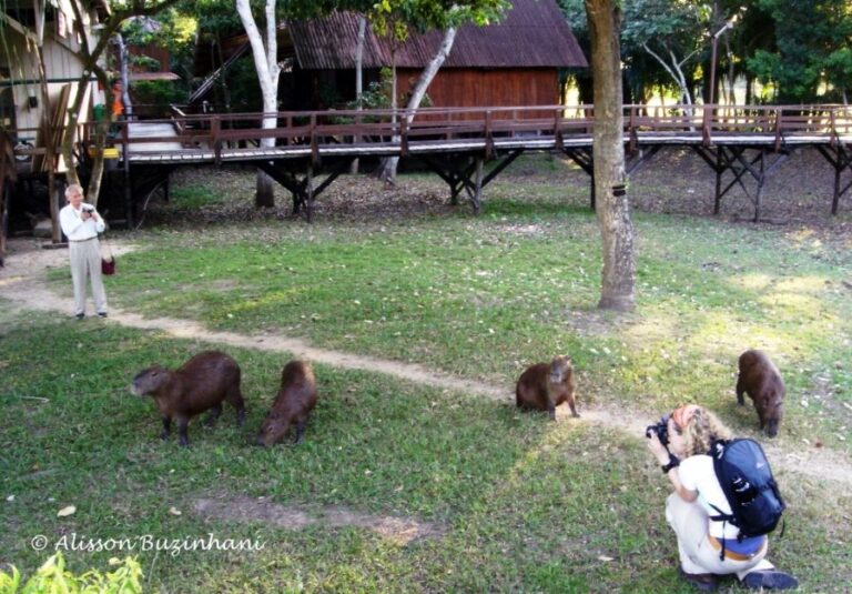 ecoadventures-atrativo-116-Parque Hotel 01_GD-