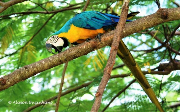 ecoadventures-atrativo-117-DSC_0662 (1024x639)_GD-