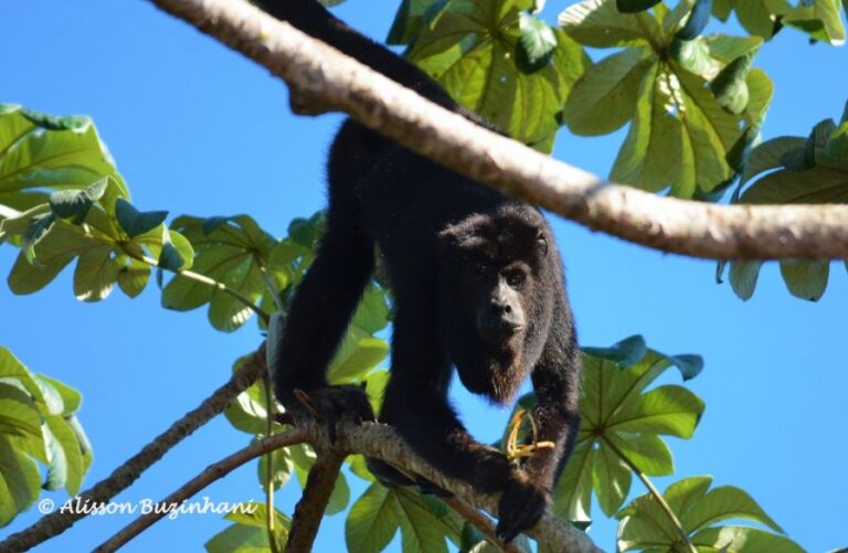 ecoadventures-atrativo-117-DSC_4815 (1024x668)_GD-