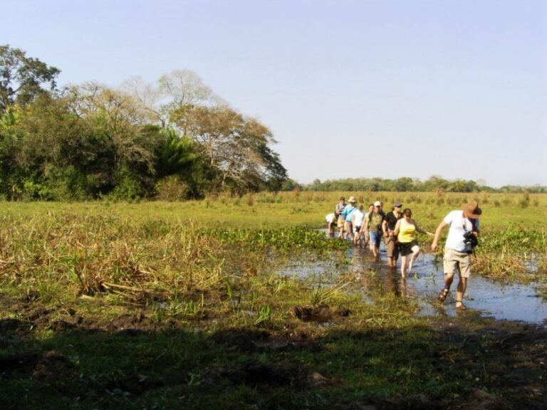 ecoadventures-atrativo-120-Caminhada_GD-