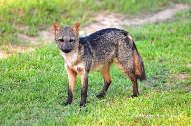 ecoadventures-atrativo-120-DSC_0840_GD-