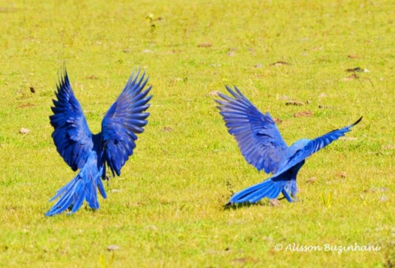 ecoadventures-atrativo-120-DSC_1771_GD-