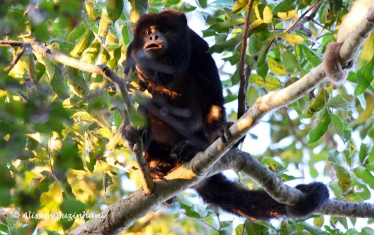 ecoadventures-atrativo-120-DSC_1863_GD-