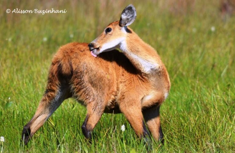 ecoadventures-atrativo-120-DSC_2118_GD-