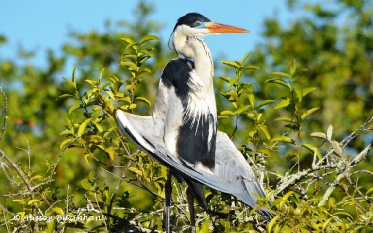 ecoadventures-atrativo-120-DSC_2550_GD-