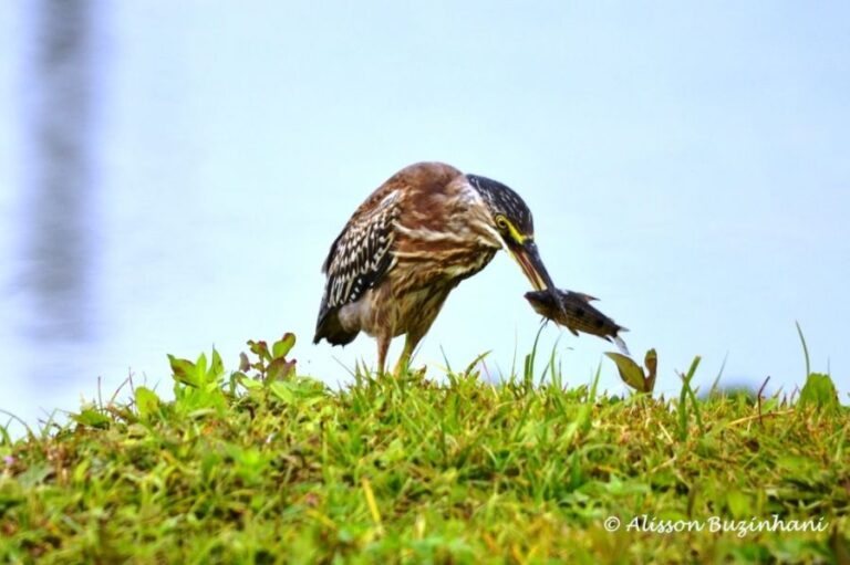 ecoadventures-atrativo-120-DSC_2681_GD-