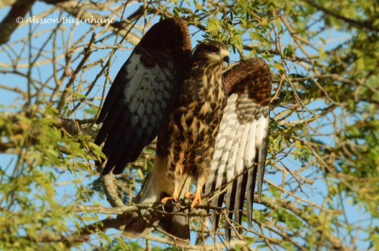 ecoadventures-atrativo-120-DSC_4095 (1024x680)_GD-