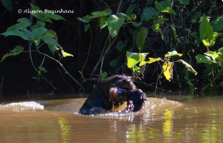 ecoadventures-atrativo-120-DSC_7051_GD-