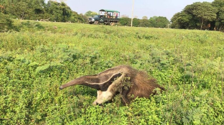 ecoadventures-atrativo-121-14581309_345963172417217_5390382939458279100_n_GD-