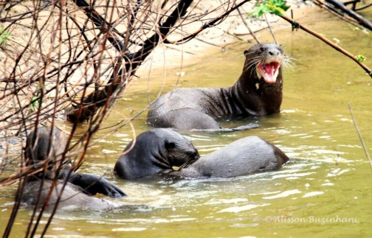 ecoadventures-atrativo-121-DSC_1610_GD-