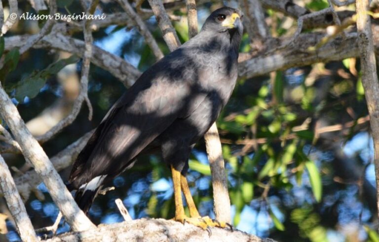 ecoadventures-atrativo-121-DSC_1822_GD-