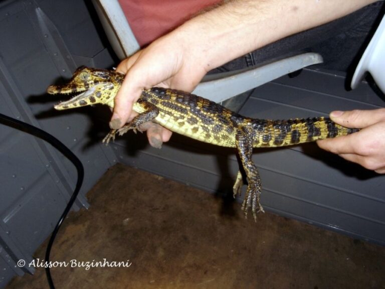 ecoadventures-atrativo-121-focagem_GD-