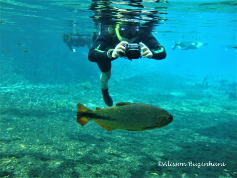 ecoadventures-atrativo-122-DSC00068 (1024x768)_GD-