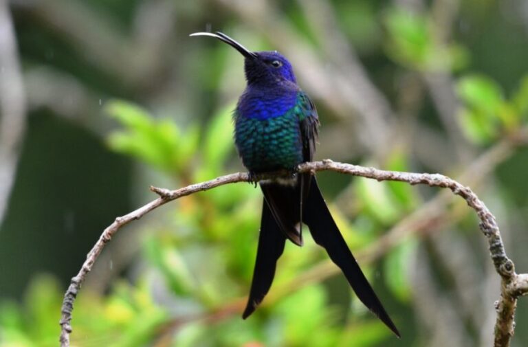 ecoadventures-atrativo-122-DSC_3916_GD-