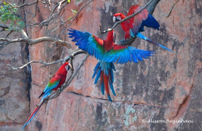 ecoadventures-atrativo-122-DSC_8949_GD-