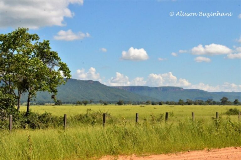 ecoadventures-atrativo-127-DSC_1312 (1024x678)_GD-