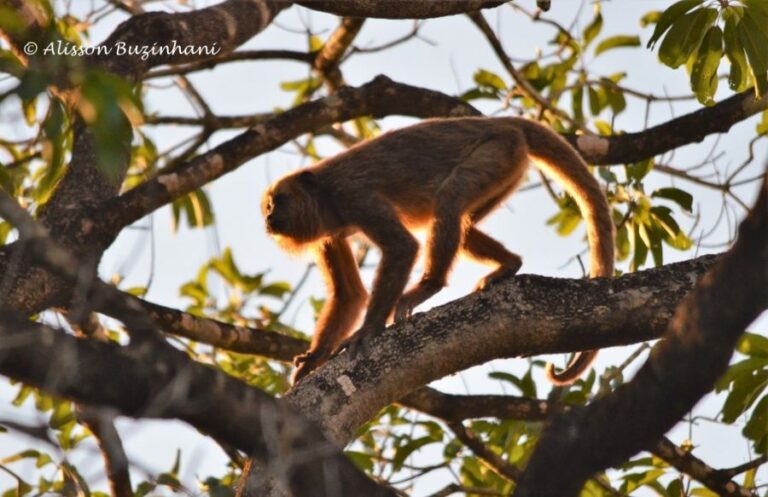 ecoadventures-atrativo-127-DSC_1337 (1024x663)_GD-