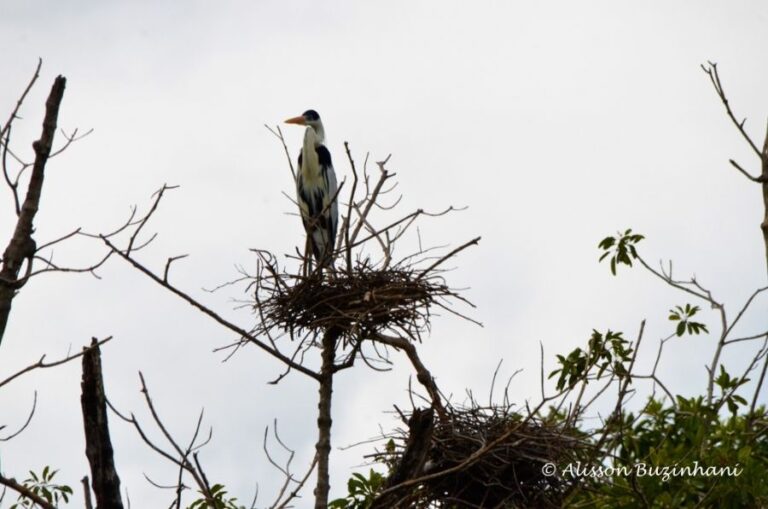 ecoadventures-atrativo-127-DSC_1598 (1024x678)_GD-