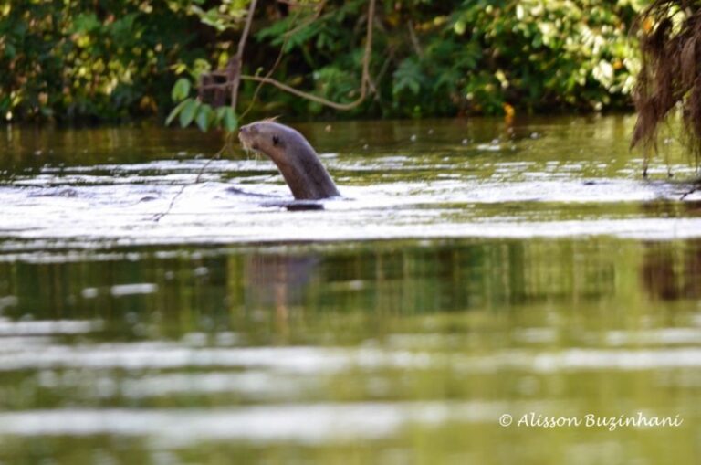 ecoadventures-atrativo-127-DSC_1625 (1024x678)_GD-