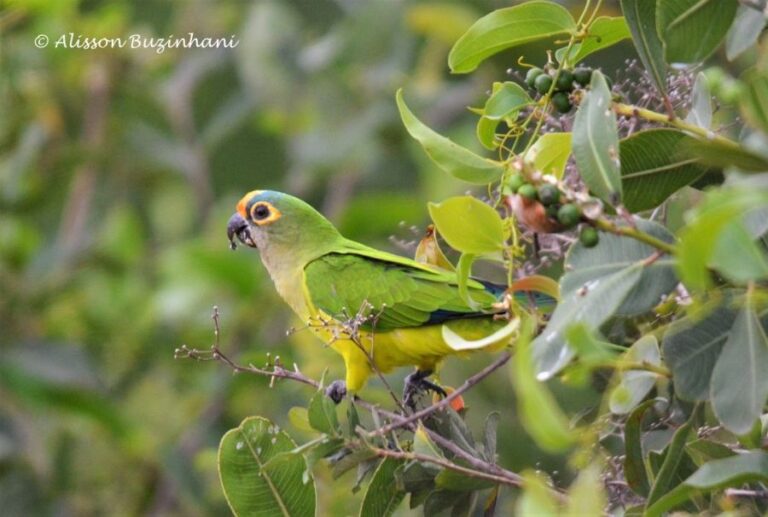 ecoadventures-atrativo-127-DSC_2317 (1024x690)_GD-