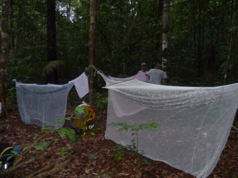 ecoadventures-atrativo-128-jungle camping1 (1024x768)_GD-