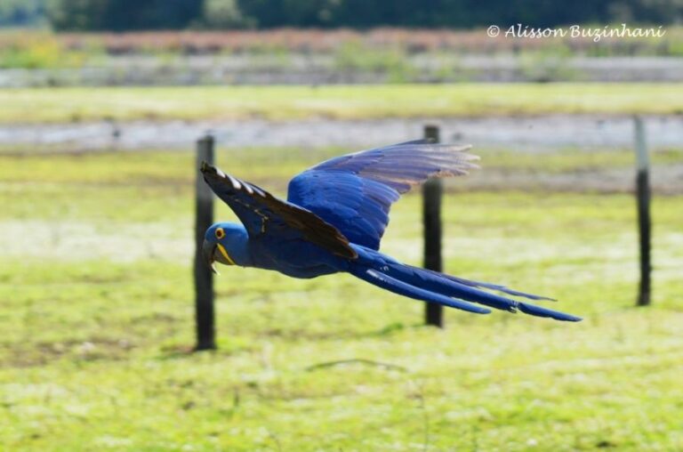 ecoadventures-atrativo-130-DSC_0786_GD-