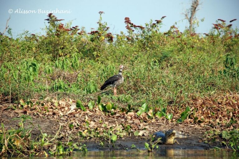 ecoadventures-atrativo-130-DSC_1500 (1024x685)_GD-