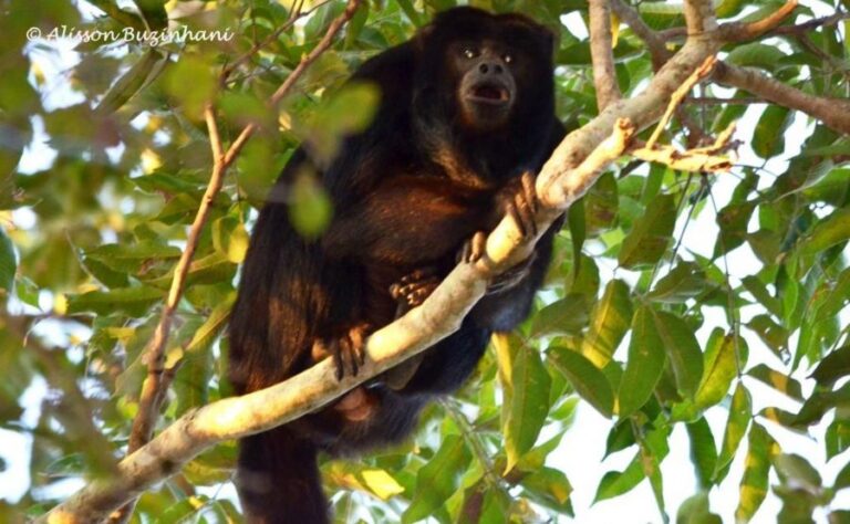 ecoadventures-atrativo-130-DSC_1852_GD-