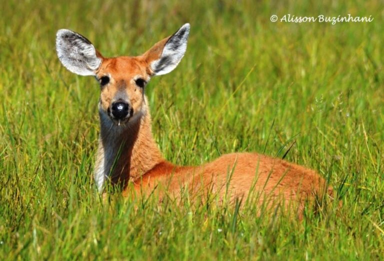 ecoadventures-atrativo-130-DSC_2102_GD-