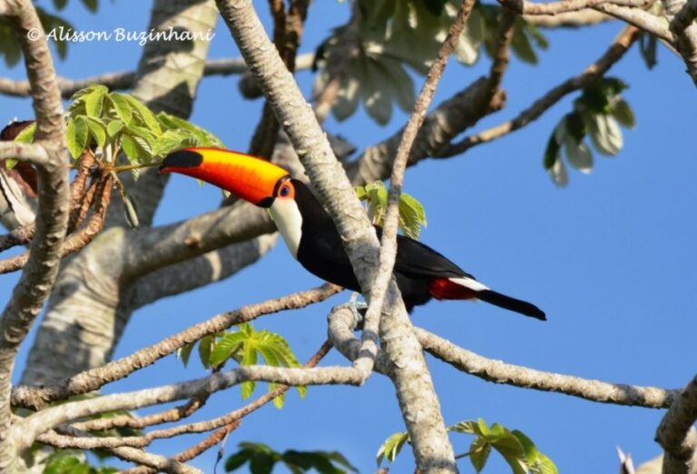 ecoadventures-atrativo-130-DSC_2176_GD-