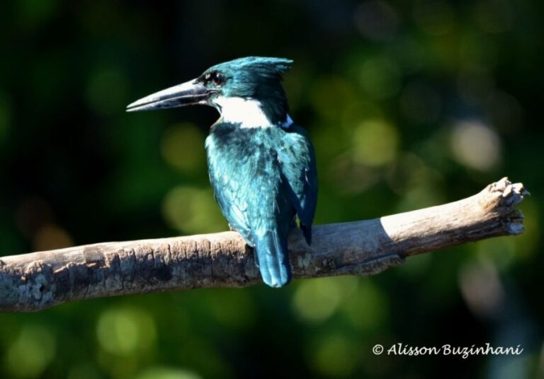 ecoadventures-atrativo-130-DSC_2350_GD-