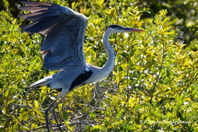 ecoadventures-atrativo-130-DSC_2381_GD-