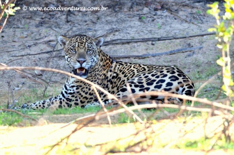 ecoadventures-atrativo-130-DSC_3744 (1024x678)_GD-