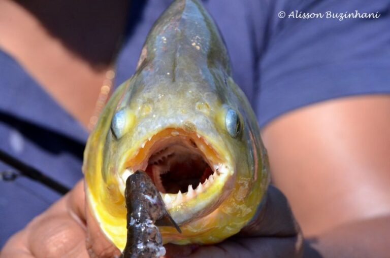 ecoadventures-atrativo-130-DSC_7122 (1024x678)_GD-