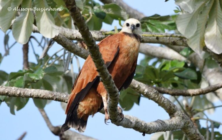 ecoadventures-atrativo-130-DSC_7240_GD-