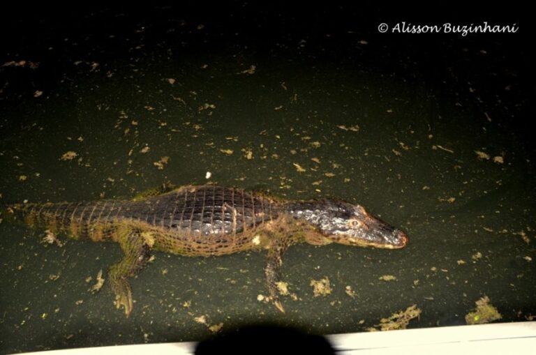 ecoadventures-atrativo-130-DSC_7341 (1024x678)_GD-