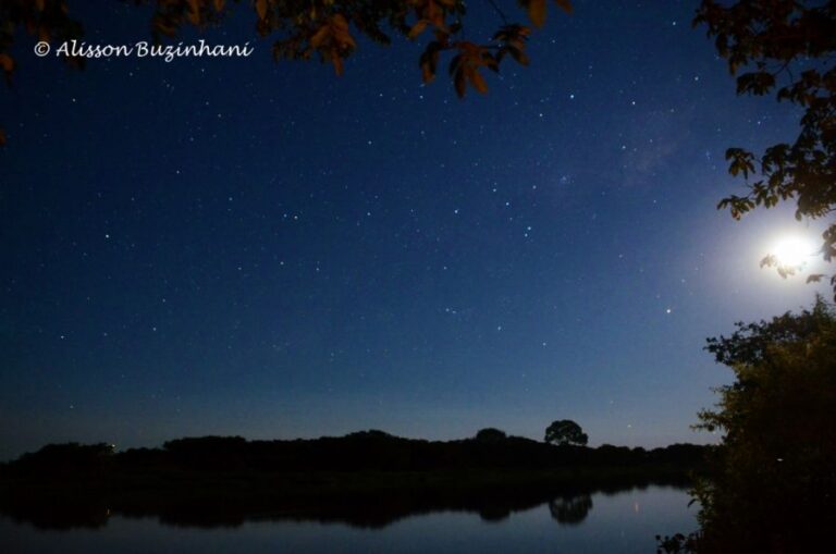 ecoadventures-atrativo-130-DSC_7387 (1024x678)_GD-