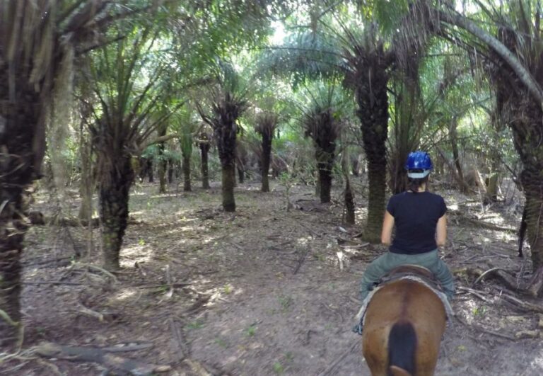 ecoadventures-atrativo-130-GOPR3743 (1024x708)_GD-