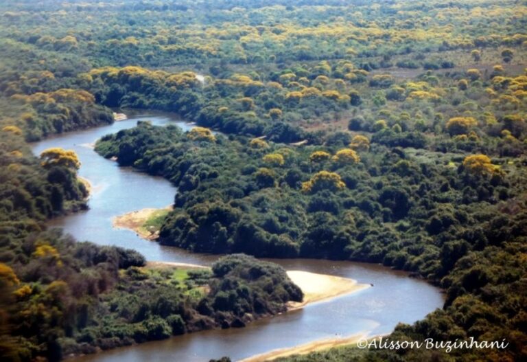 ecoadventures-atrativo-130-Pantanal (3)_GD-