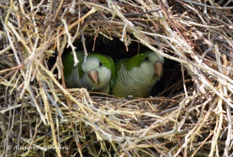 ecoadventures-atrativo-132-DSC_0709_GD-