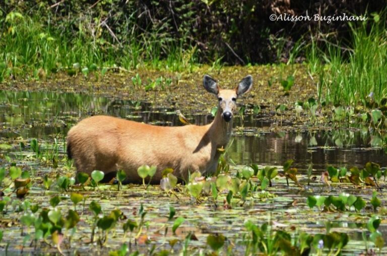 ecoadventures-atrativo-132-DSC_0892_GD-