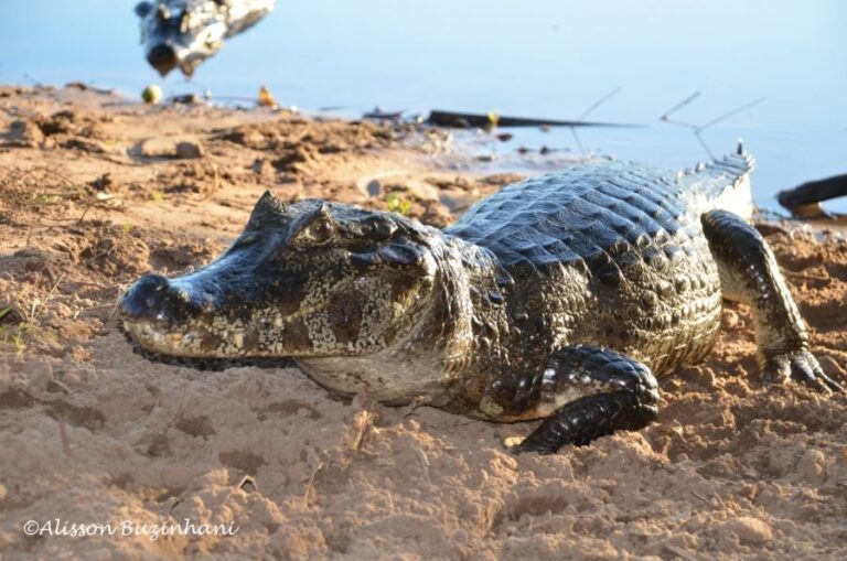 ecoadventures-atrativo-132-DSC_5229_GD-