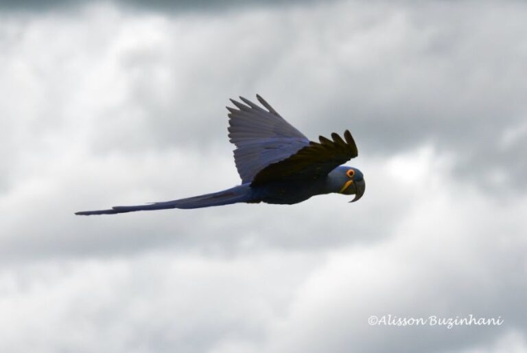 ecoadventures-atrativo-132-DSC_5389_GD-