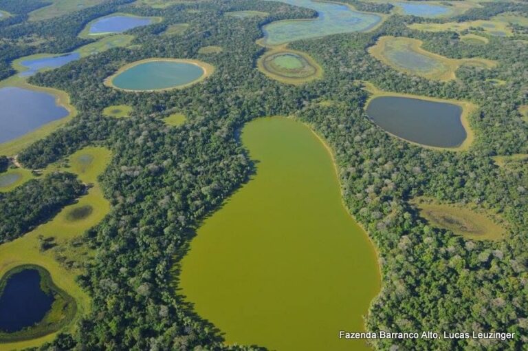 ecoadventures-atrativo-137-12002754_827890530661620_6064558365477030240_n_GD-