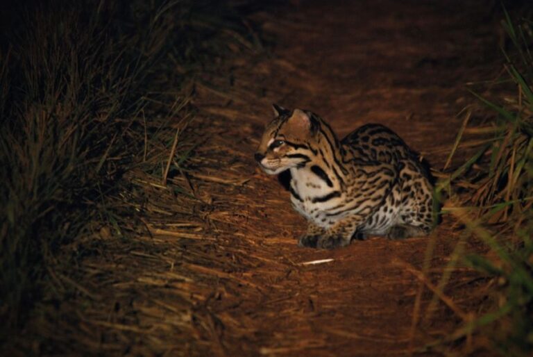 ecoadventures-atrativo-137-DSC_0400 (1024x685)_GD-