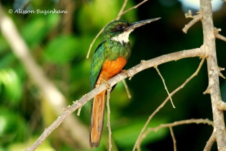 ecoadventures-atrativo-137-DSC_1689 (1024x685)_GD-