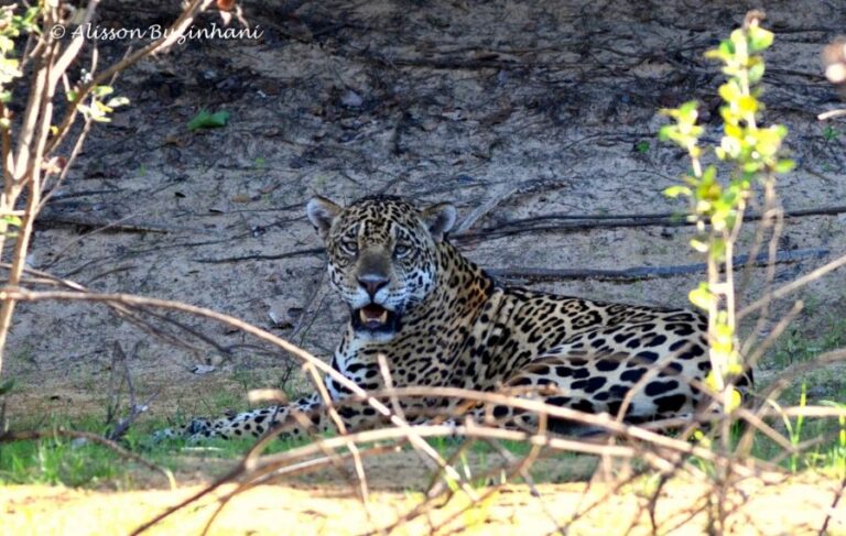 ecoadventures-atrativo-137-DSC_3743 (1024x650)_GD-